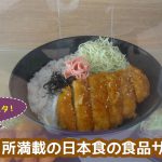 ツッコミ所満載の日本食の食品サンプル！